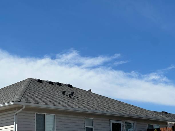 Best Cold Roofs  in Jamestown, NC